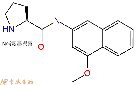 专肽生物产品H-Pro-4M&beta;NA &middot; HCl100930-07-2