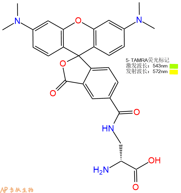 专肽生物产品TAMRA-氨基-D-丙氨酸：DDap(TAMRA)